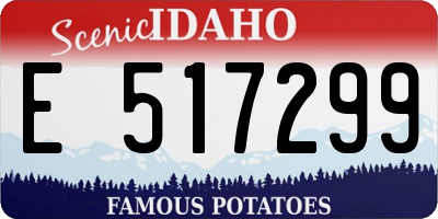 ID license plate E517299
