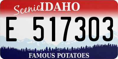 ID license plate E517303