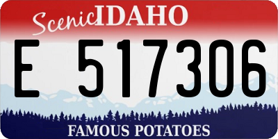 ID license plate E517306