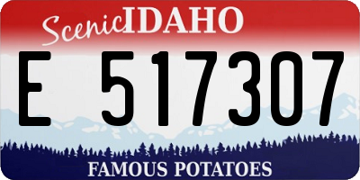 ID license plate E517307