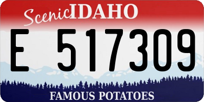 ID license plate E517309