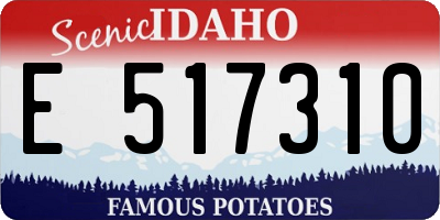 ID license plate E517310