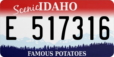 ID license plate E517316