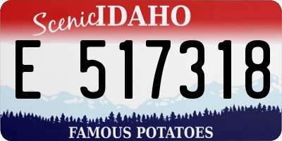 ID license plate E517318