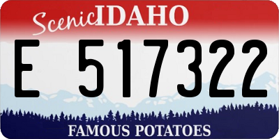ID license plate E517322