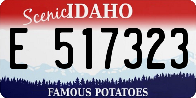 ID license plate E517323