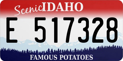 ID license plate E517328