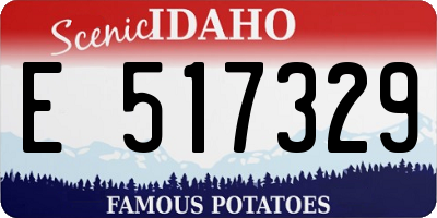 ID license plate E517329