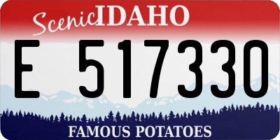 ID license plate E517330