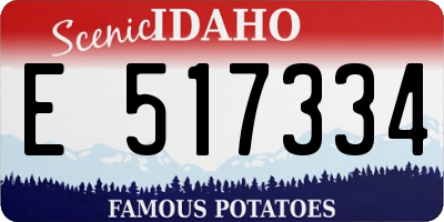 ID license plate E517334