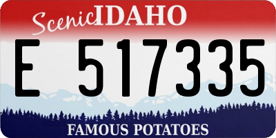 ID license plate E517335