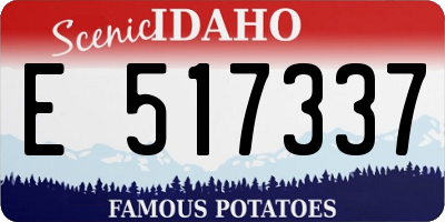 ID license plate E517337