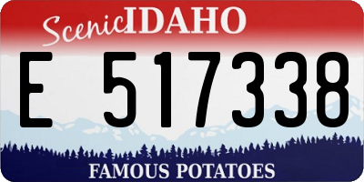 ID license plate E517338