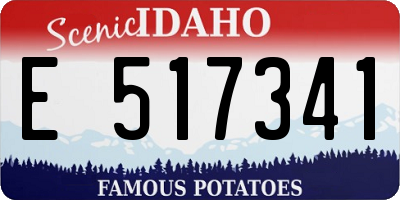 ID license plate E517341