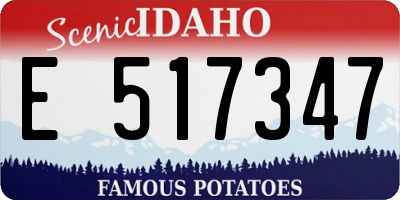 ID license plate E517347