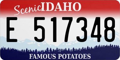 ID license plate E517348