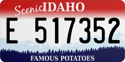 ID license plate E517352