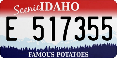 ID license plate E517355