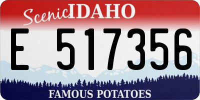 ID license plate E517356