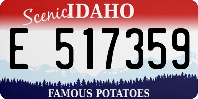 ID license plate E517359