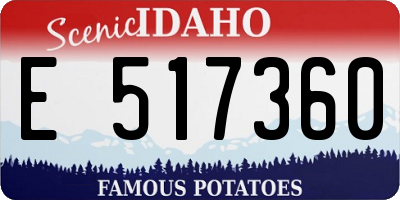 ID license plate E517360