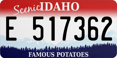 ID license plate E517362