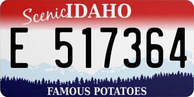 ID license plate E517364