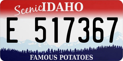 ID license plate E517367