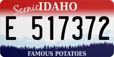ID license plate E517372