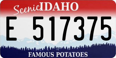 ID license plate E517375