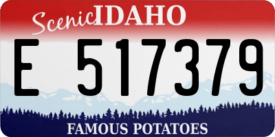 ID license plate E517379