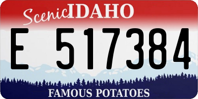 ID license plate E517384