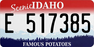 ID license plate E517385