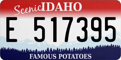 ID license plate E517395