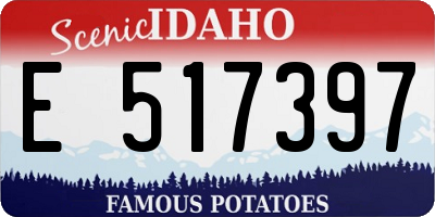 ID license plate E517397