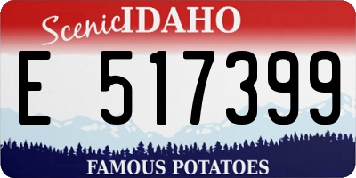 ID license plate E517399