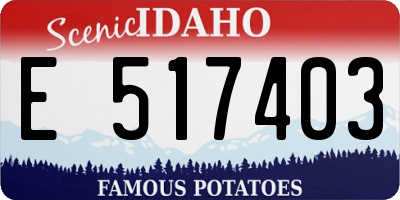 ID license plate E517403
