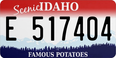 ID license plate E517404