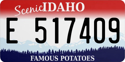 ID license plate E517409