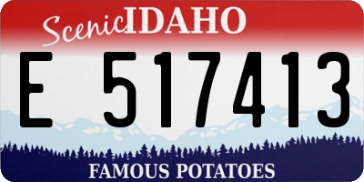 ID license plate E517413