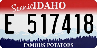 ID license plate E517418