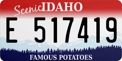 ID license plate E517419