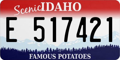 ID license plate E517421