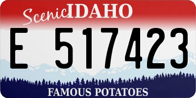 ID license plate E517423