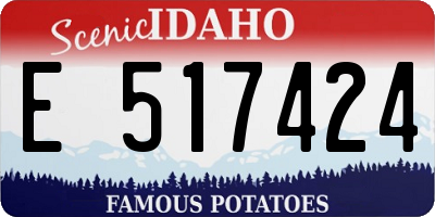 ID license plate E517424