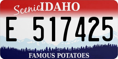 ID license plate E517425