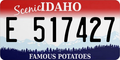 ID license plate E517427