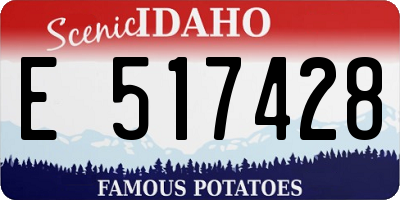 ID license plate E517428