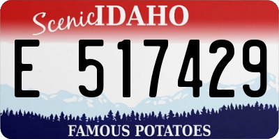 ID license plate E517429