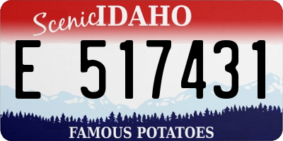 ID license plate E517431
